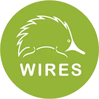 wires